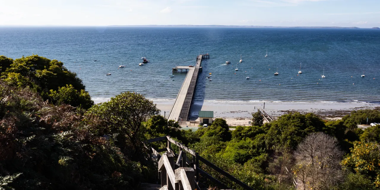 A pier running out over flat water, with boats moored off a wooded shoreline