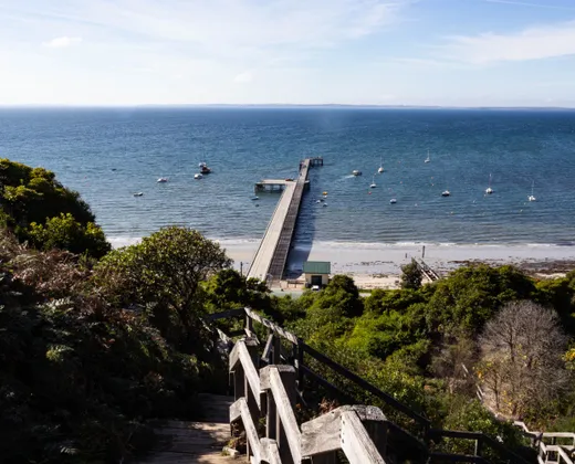Timber steps leading down to a long pier reaching into a calm bay dotted with moored boats